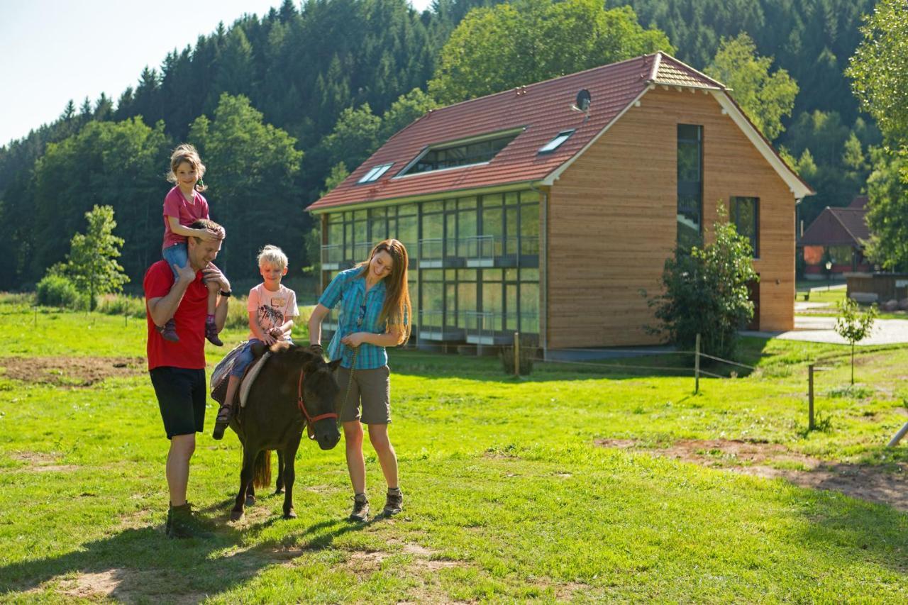Landhotel Weihermuehle Thaleischweiler-Froschen ภายนอก รูปภาพ